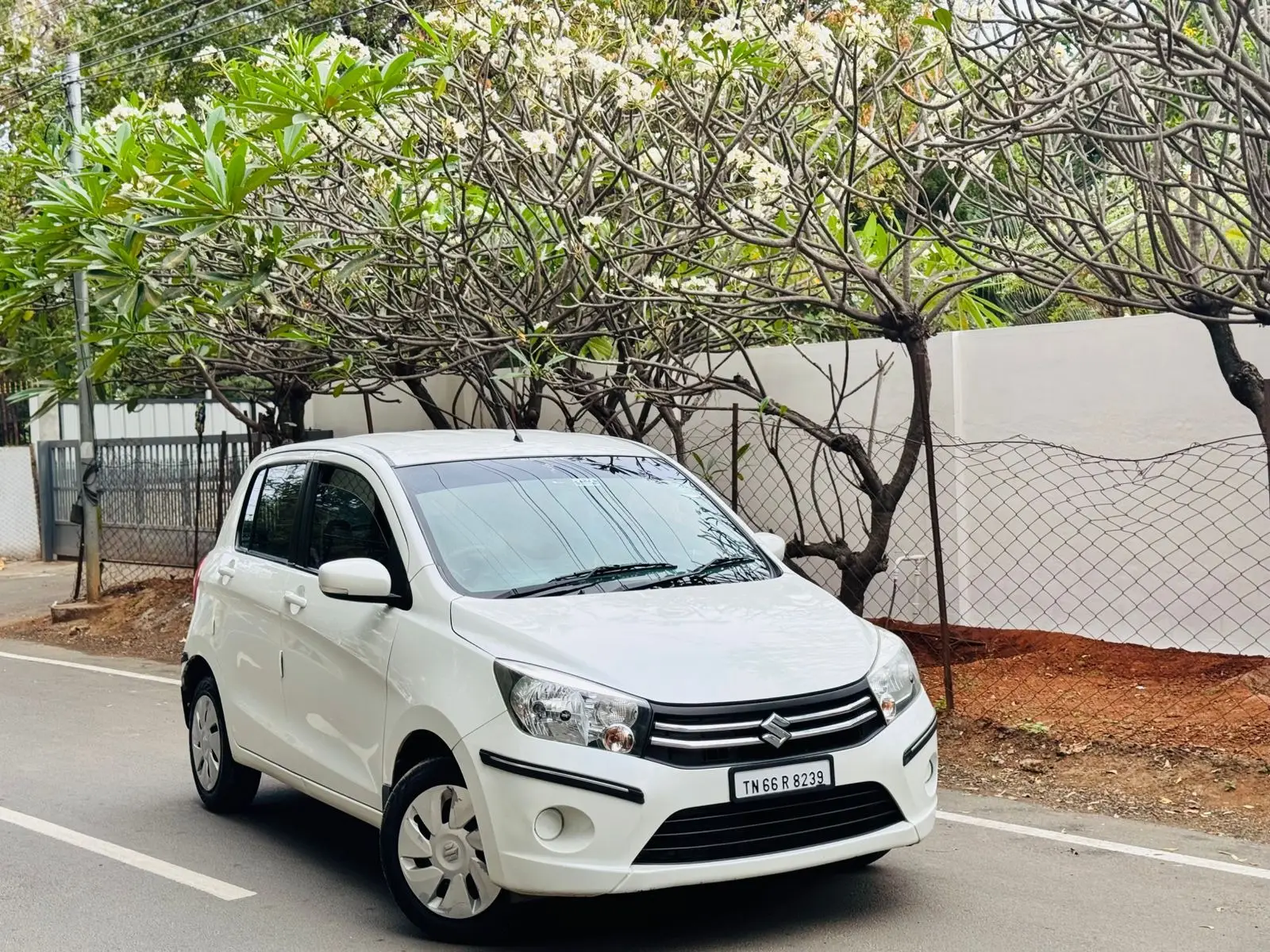 MARUTI SUZUKI | Maruti Celerio Zxi Optional AMT | 2017